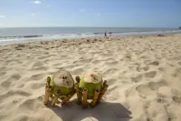 Hardman Praia Hotel - Beach