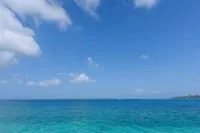 Mr.KINJO in MOTOBU OCEAN TERRACE Hotels in Kunigami District