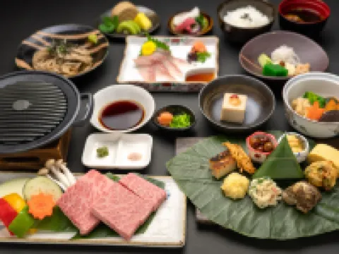 飛騨ともえホテル 飛騨のホテル