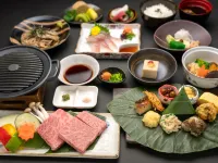 Hida Tomoe Hotel Hotels in Hida