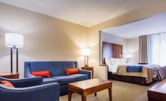 Comfort Inn & Suites Hotel in the Black Hills