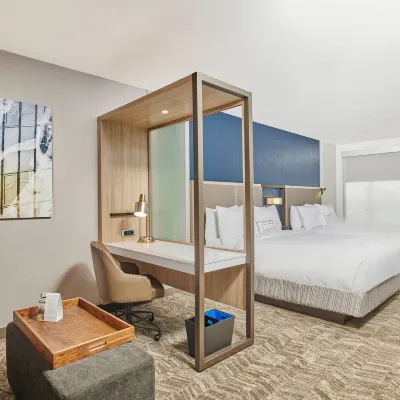 SpringHill Suites Chicago Chinatown Hotels near Chinatown