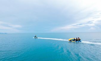 1. 요타카 카논..