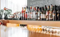 Heinhotel Vienna Airport - bar
