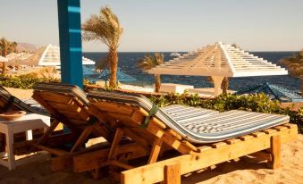 Grand Oasis Resort