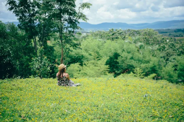 วังน้ำเขียว