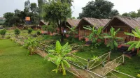 Waterfall Guesthouse