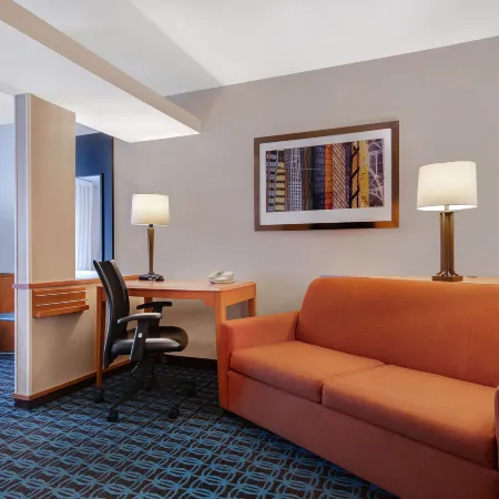 Fairfield Inn & Suites Detroit Metro Airport Romulus Отели в г. Ромул