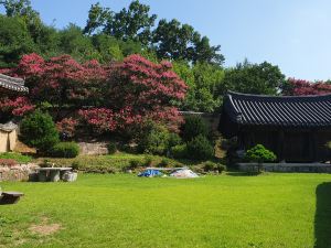 安東養素堂