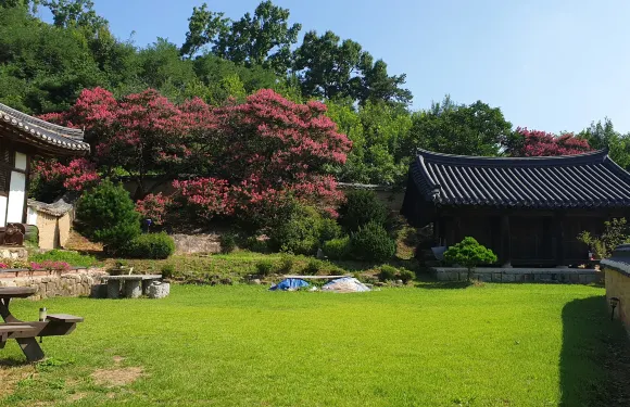 安東養素堂