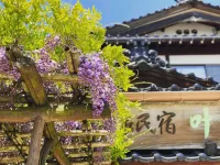 Japanese-Style Hot Spring Resort Kano Các khách sạn ở 