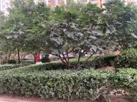 留住你住的開心公寓（中華南大街分店） 衡水湖/園博園住宿飯店