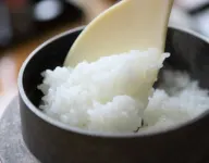 Hatukaishi Hot Spring Ishiuchi-Yungparunas 미나미 우오누마 호텔