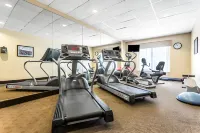 Holiday Inn Express & Suites DUBLIN by IHG - Gym