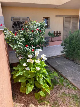 Casa I Corbezzoli - Paduledda - Isola Rossa