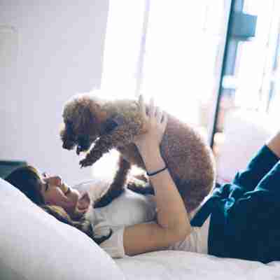 愛犬と泊まれるスタイリッシュ宿。D+KIRISHIMA Rooms