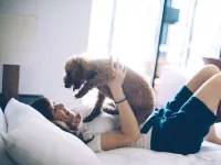 A Stylish Inn for You and Your Beloved Dog. D+Kirishima Hotels in Kirishima
