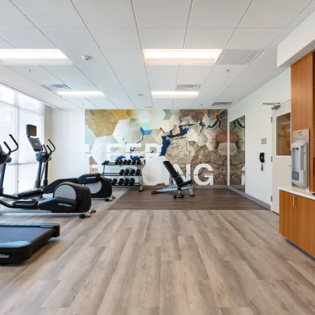 SpringHill Suites Chattanooga South/Ringgold, GA Отели в г. Катуса