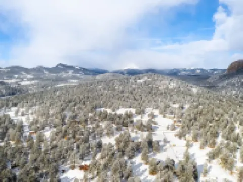 Peaceful getaway in the woods with fully fenced yard- Pet friendly! Hotels in Bailey