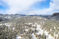 Peaceful getaway in the woods with fully fenced yard- Pet friendly!