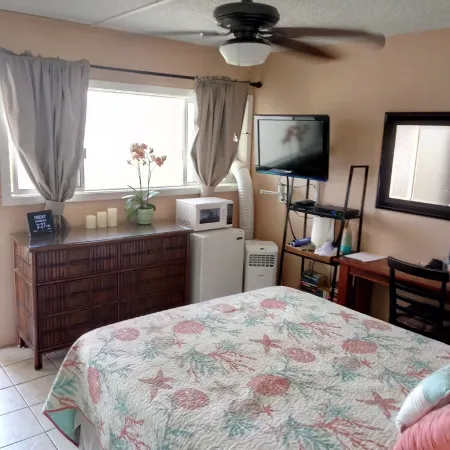 Studio apt. with A/C, Fridge, Semi-Private pool in the Center of kihei