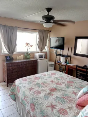 Studio apt. with A/C, Fridge, Semi-Private pool in the Center of kihei