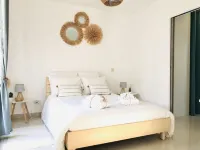 OLIVE TREES OF MAS BLUE BETWEEN NIMES AND MONTPELLIER