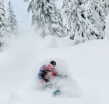 Schweitzer Lux Powder Dreams I Hot Tub I Families - Chalets