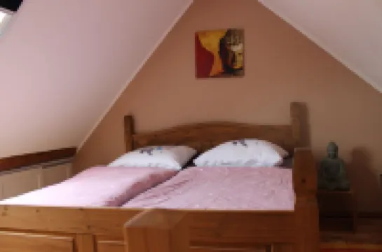 Vacation on the pony farm