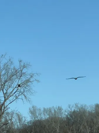 Charming apartment 7 minute walk to downtown