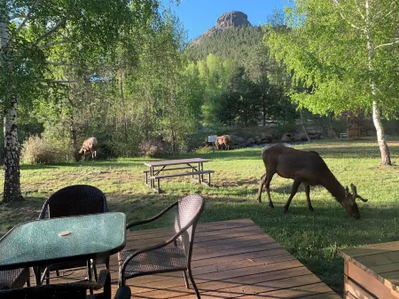 “Luxury Living by the River: Embrace Comfort, Surrounded by Wildlife.  2B2Bcondo Отели рядом с достопримечательностью «Gem Lake»