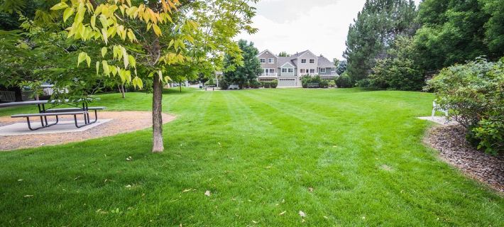 Colorado Rockies 3-Bedroom Retreat Hotels in Longmont