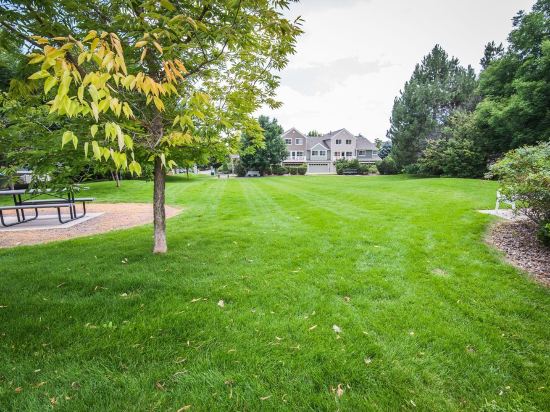 Colorado Rockies 3-Bedroom Retreat