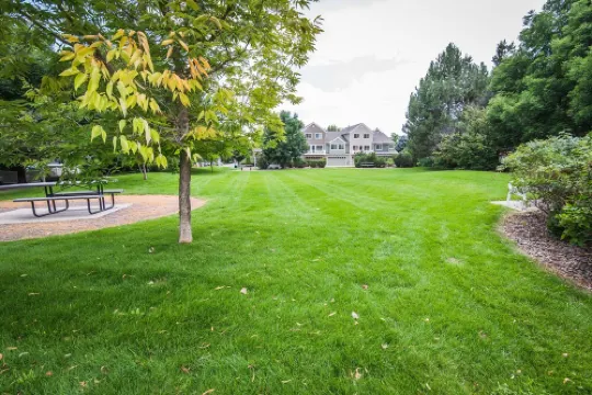 Colorado Rockies 3-Bedroom Retreat