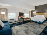 Hampton Inn & Suites San Antonio Brooks City Base Area Hotels near Pickwell Park