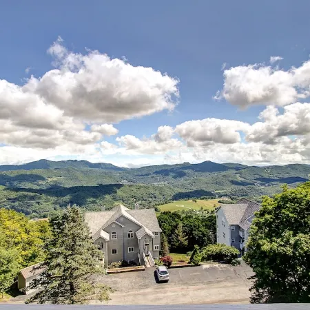 Beechin' Views