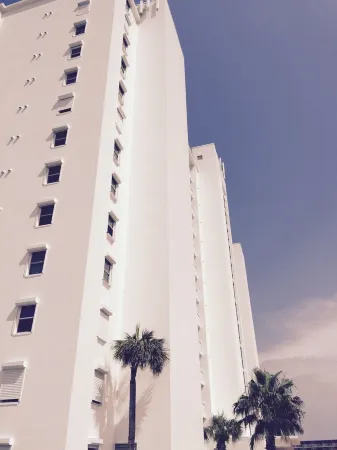 Sleep with Waves! Artist Owned, Oceanfront Luxe 9th Floor Breathtaking Views!