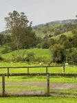 Little Farmhouse Near The Dairy
