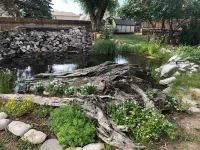 Cabin #2 - Backyard Bunkhouse