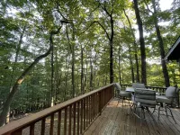 Cozy, 2/2 surrounded by trees and mountains