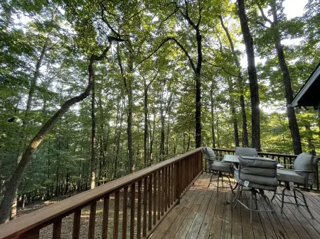 Cozy, 2/2 surrounded by trees and mountains
