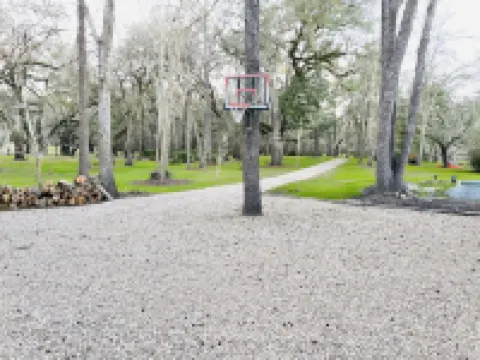 15 ACRE RIVER FRONT CABIN HOUSE ON THE SUWANNEE, WITH SPRING WALKING DISTANCE