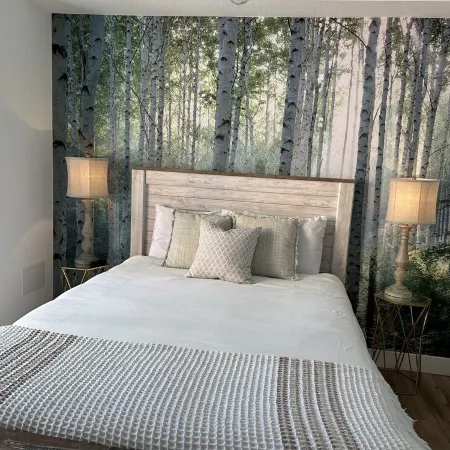 Brand New Townhome in Downtown Westminster