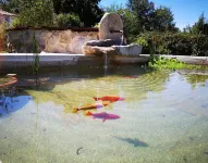 TO MAQUIA DO POUSAVEDRA Hotels in Sober