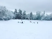 Darling house near outdoor adventures-newly remodeled