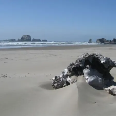 Ocean Front ON the Beach - 14 Minutes to Bandon Dunes Golf! Spectacular Views!