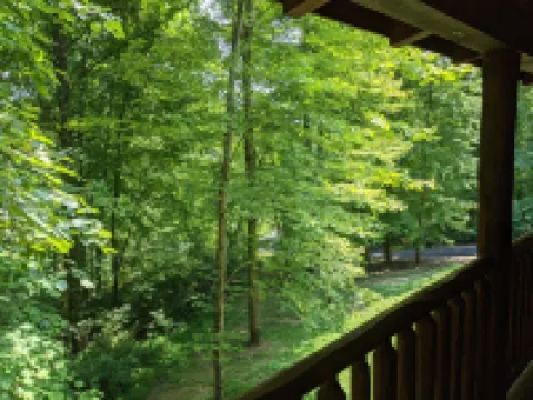 Lovie's Hillside Lodge nestled into 5 wooded acres 格林酒店