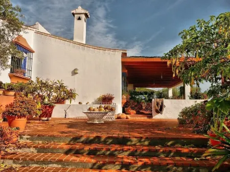 Stylish Andalusian country house with pool in olive grove facing the sea