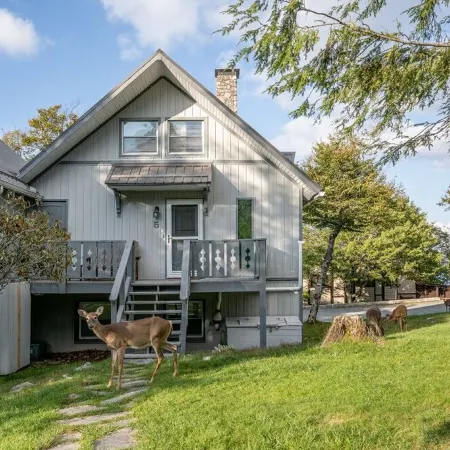 Cozy Beech Mountain getaway for the whole family