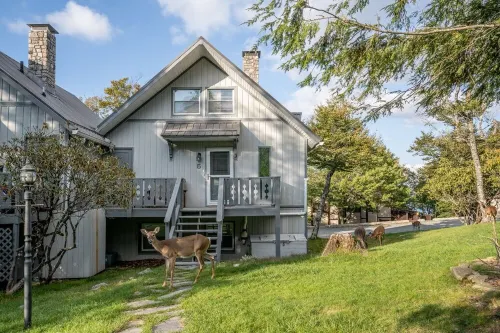 Cozy Beech Mountain getaway for the whole family
